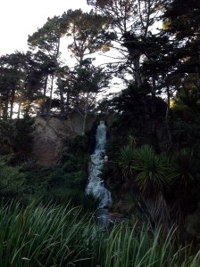 Waterfall [Golden Gate Park]