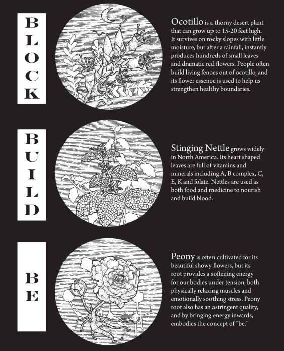 13731926_10155064272518135_6818325376566933640_o